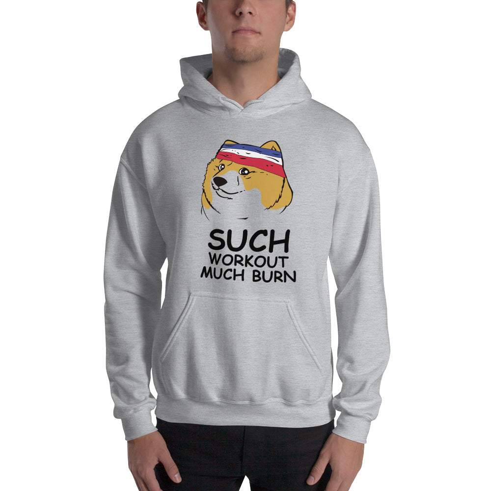Such Workout. Much Burn. Men's Hoodie